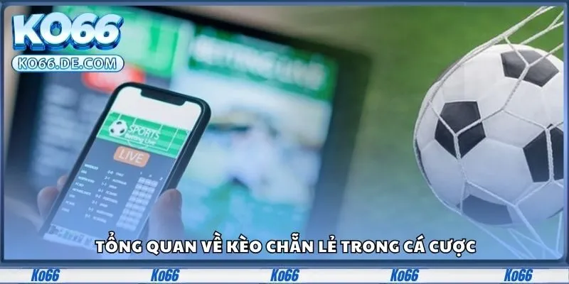 Tổng quan về kèo chẵn lẻ trong cá cược